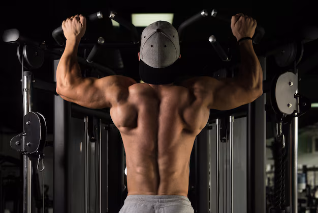 Bodybuilding